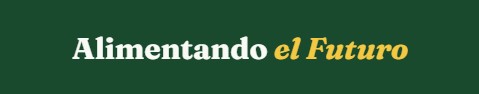 AeF logo